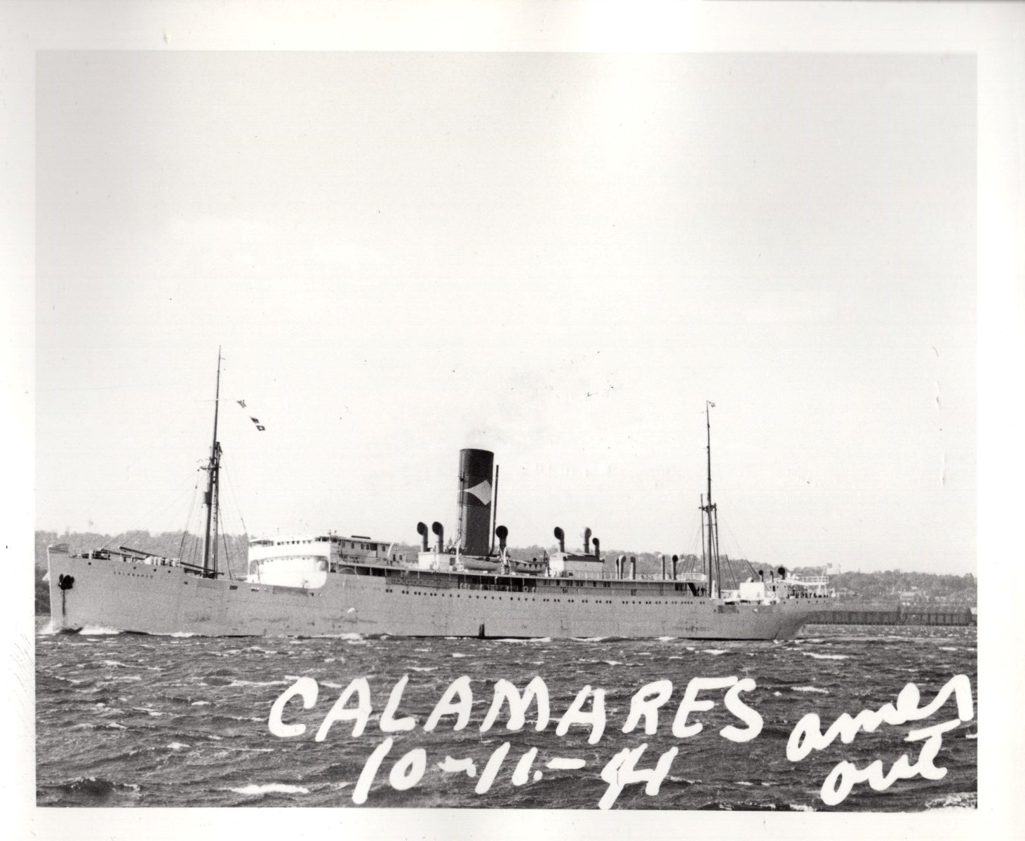 Calamares_651_006.jpg