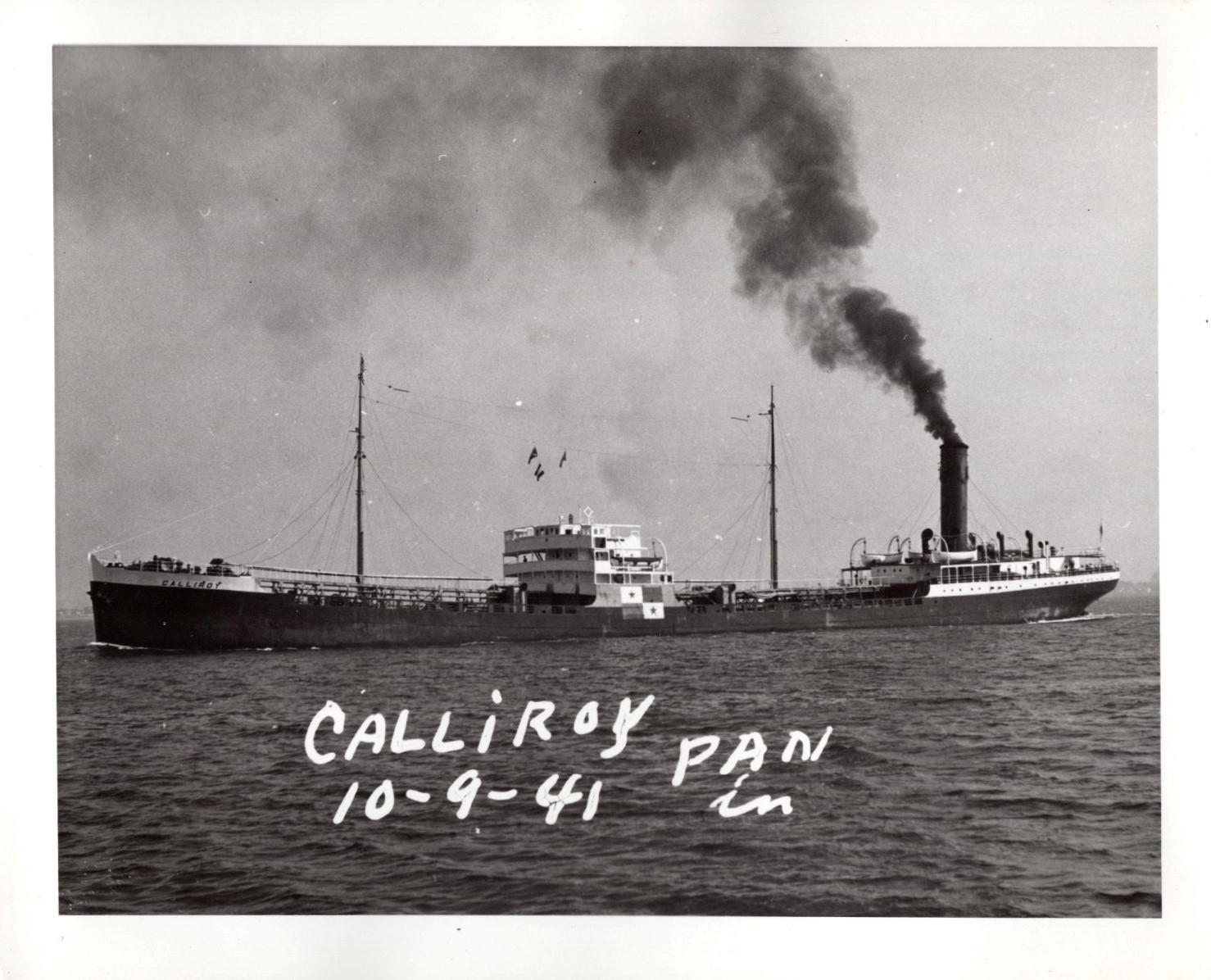 Calliroy_7123_002.jpg