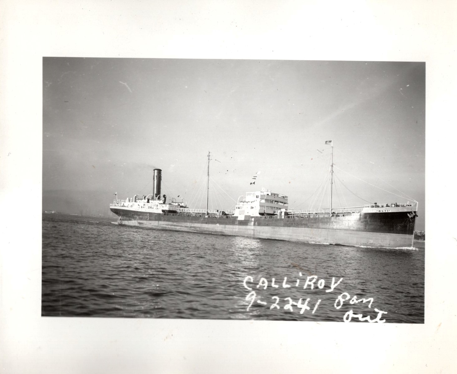Calliroy_7123_003.jpg