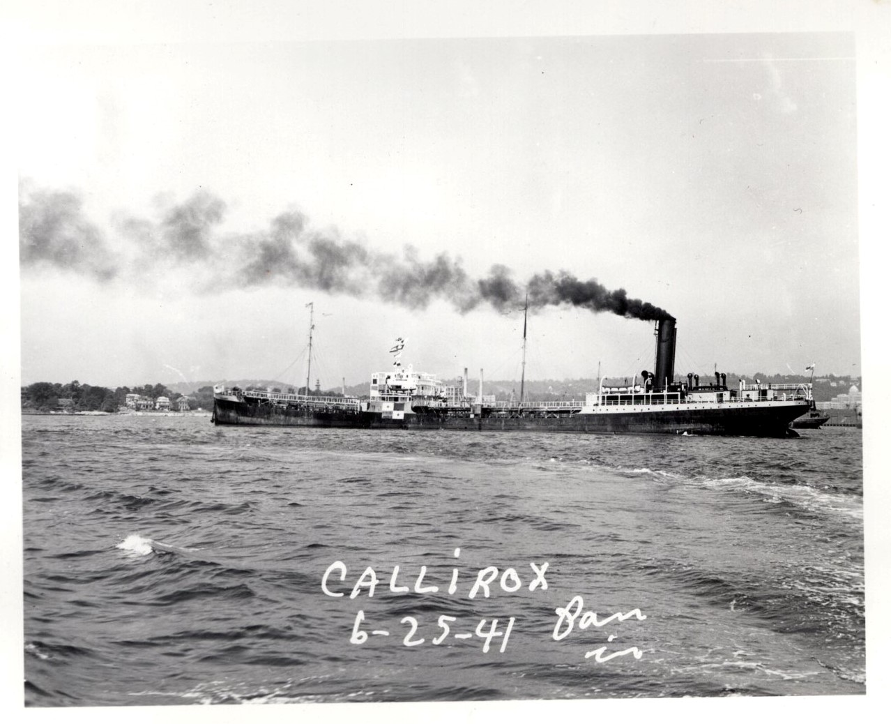 Calliroy_7123_004.jpg