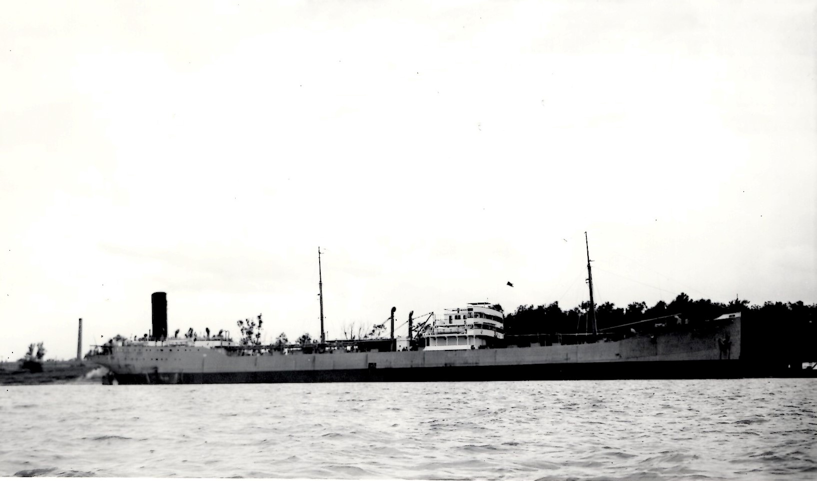 ChesterSun_7311_007.jpg