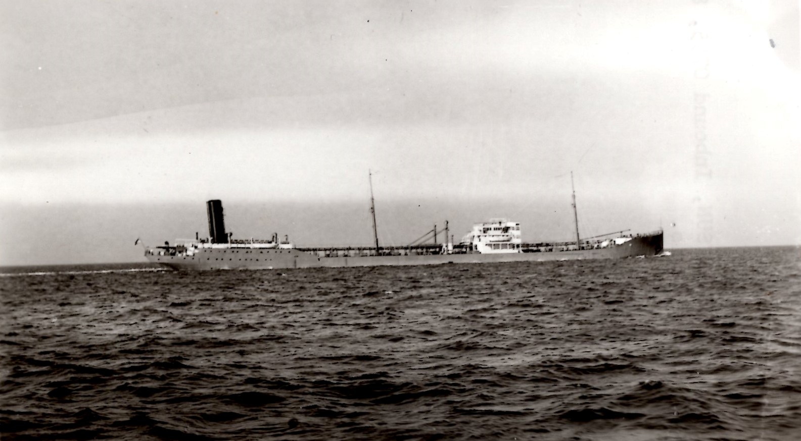ChesterSun_7311_011.jpg