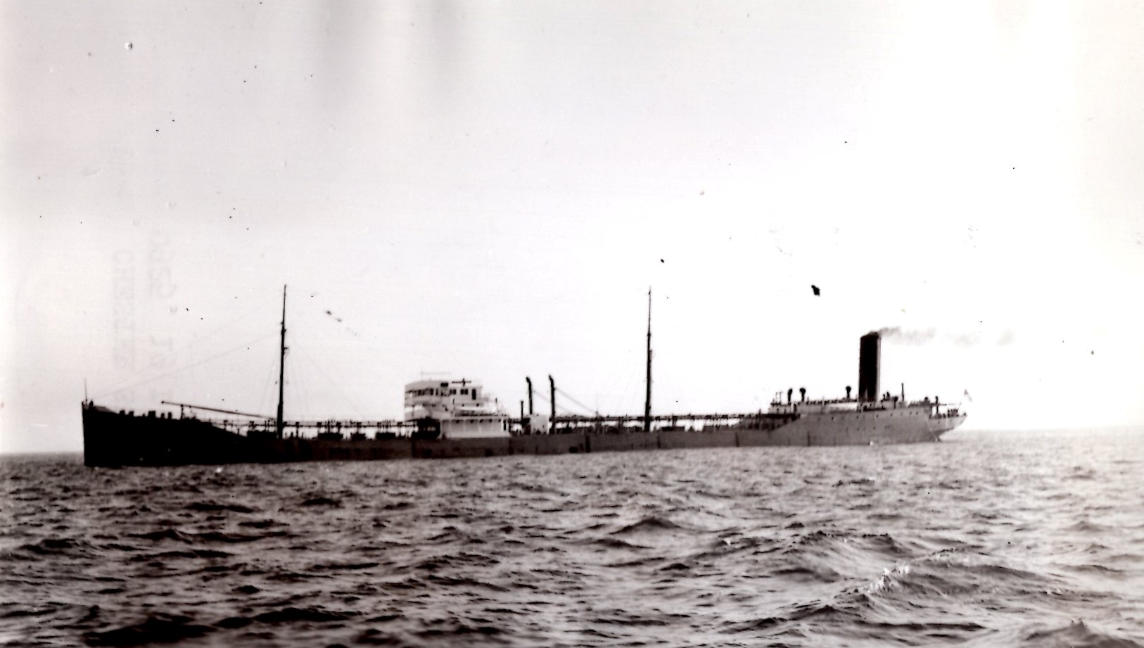 ChesterSun_7311_012.jpg