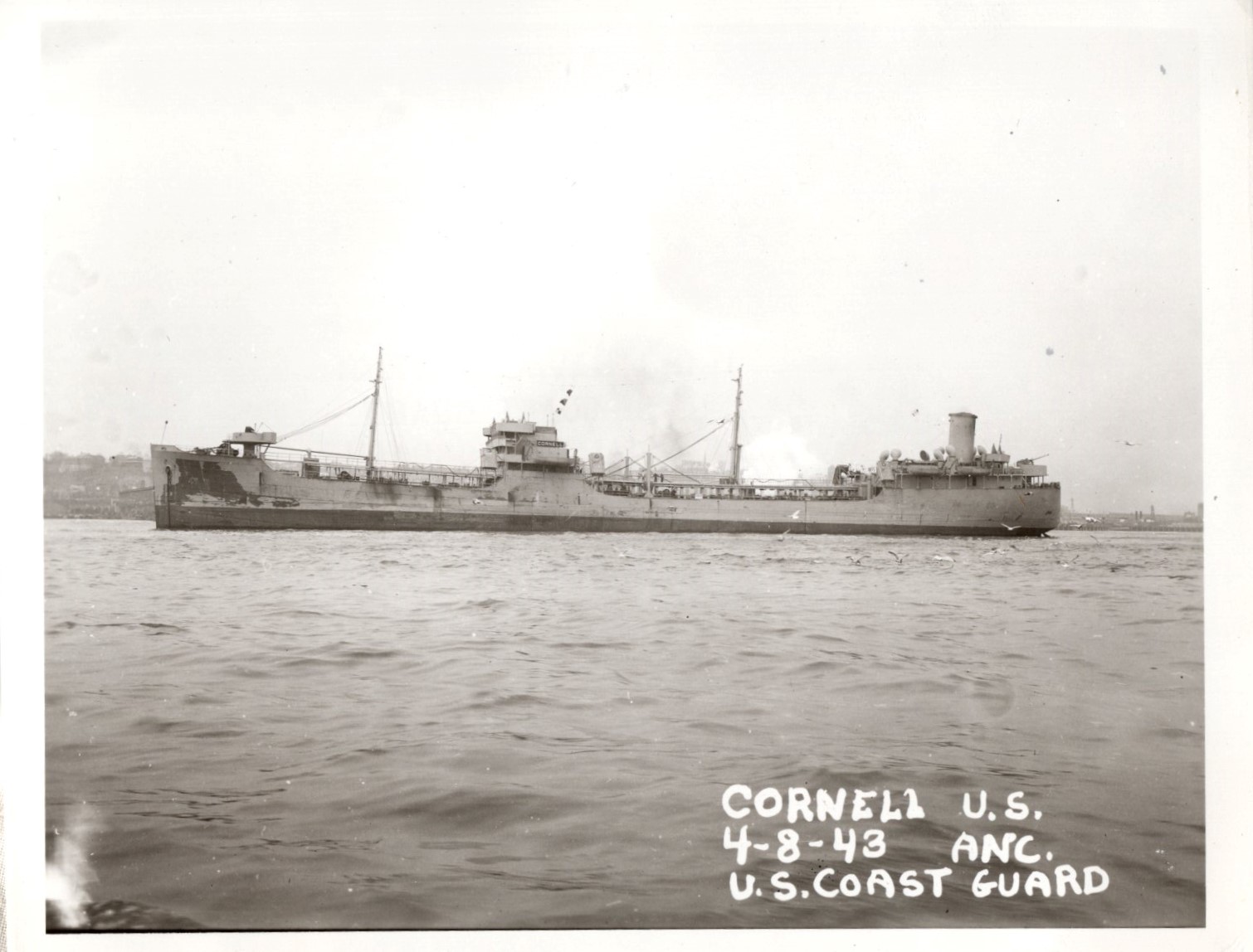 Cornell_1104_003.jpg